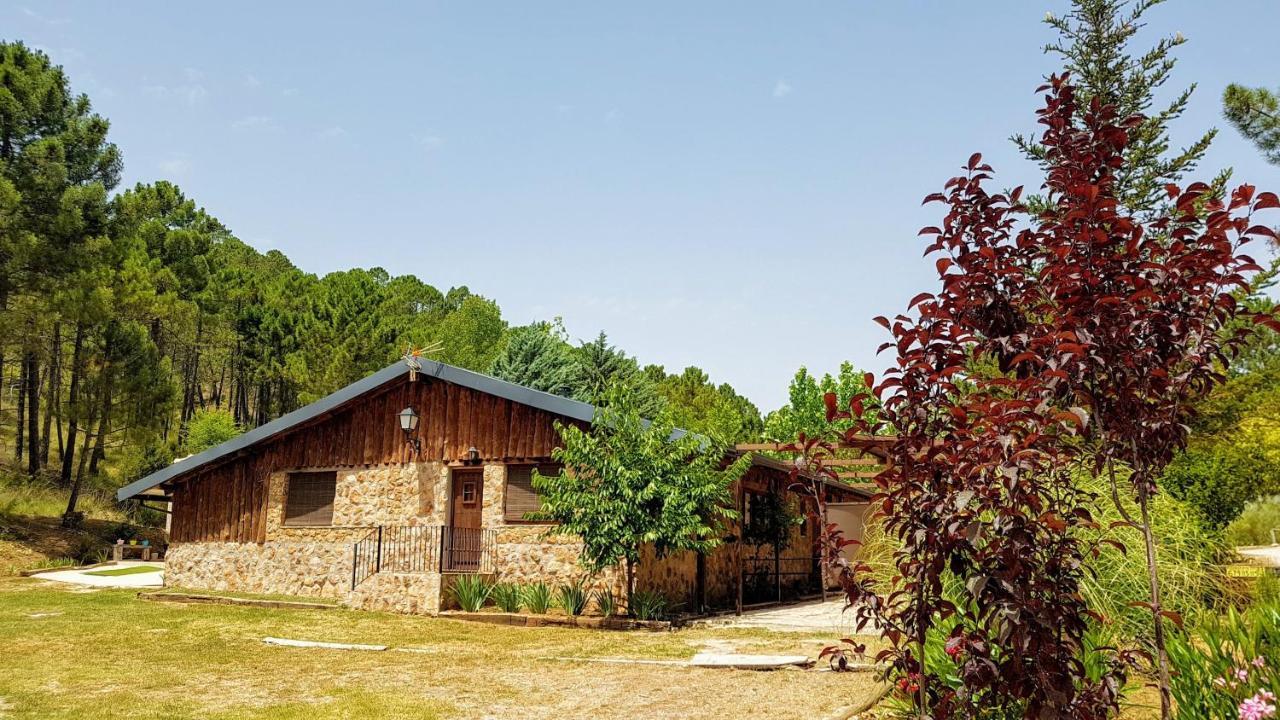 Chalet Esmeralda 3 D Y 2 Banos Zafiro Lagunazo Parque Natural Rio Mundo Riópar Exterior foto
