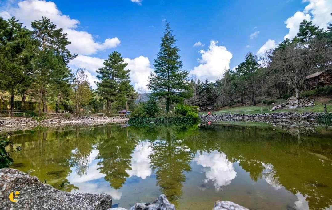 Chalet Esmeralda 3 D Y 2 Banos Zafiro Lagunazo Parque Natural Rio Mundo Riópar Exterior foto