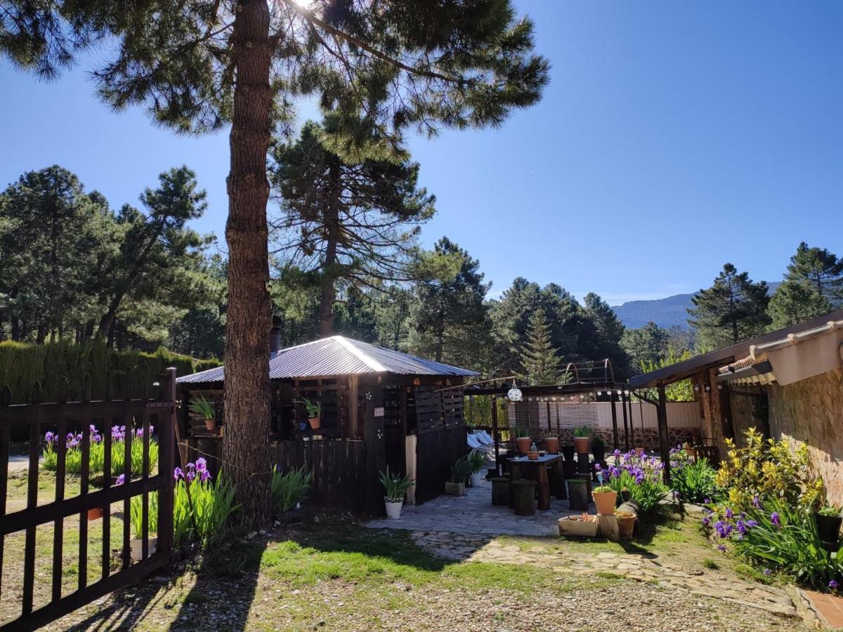 Chalet Esmeralda 3 D Y 2 Banos Zafiro Lagunazo Parque Natural Rio Mundo Riópar Exterior foto